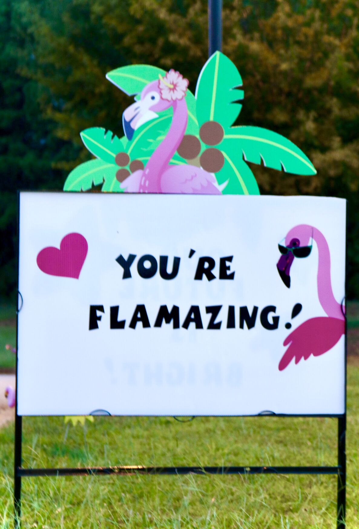 081320_MDJ_ActsofKindnessPart2_Signs1.jpeg